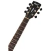 CORT SFX-MYRTLE-BR | Electroacústica Myrtlewood Brown