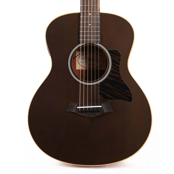 Taylor GS Mini-E Special Edition - Transparent Black