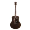 Taylor GS Mini-E Special Edition - Transparent Black