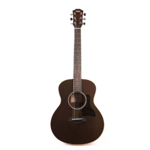 Taylor GS Mini-E Special Edition - Transparent Black