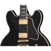 EPIPHONE B.B. King Lucille