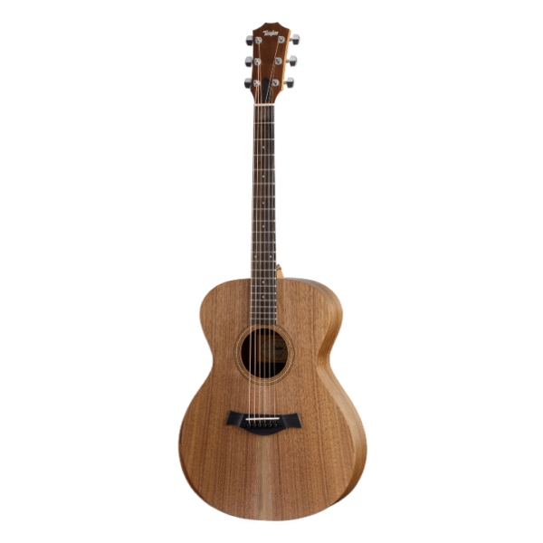 TAYLOR Academy22e