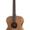 Taylor Academy22e Walnut Electroacústica