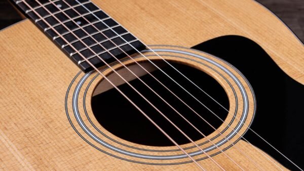 TAYLOR 117E ELECTROACUSTICA
