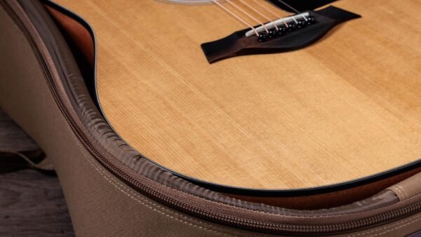 TAYLOR 117E ELECTROACUSTICA
