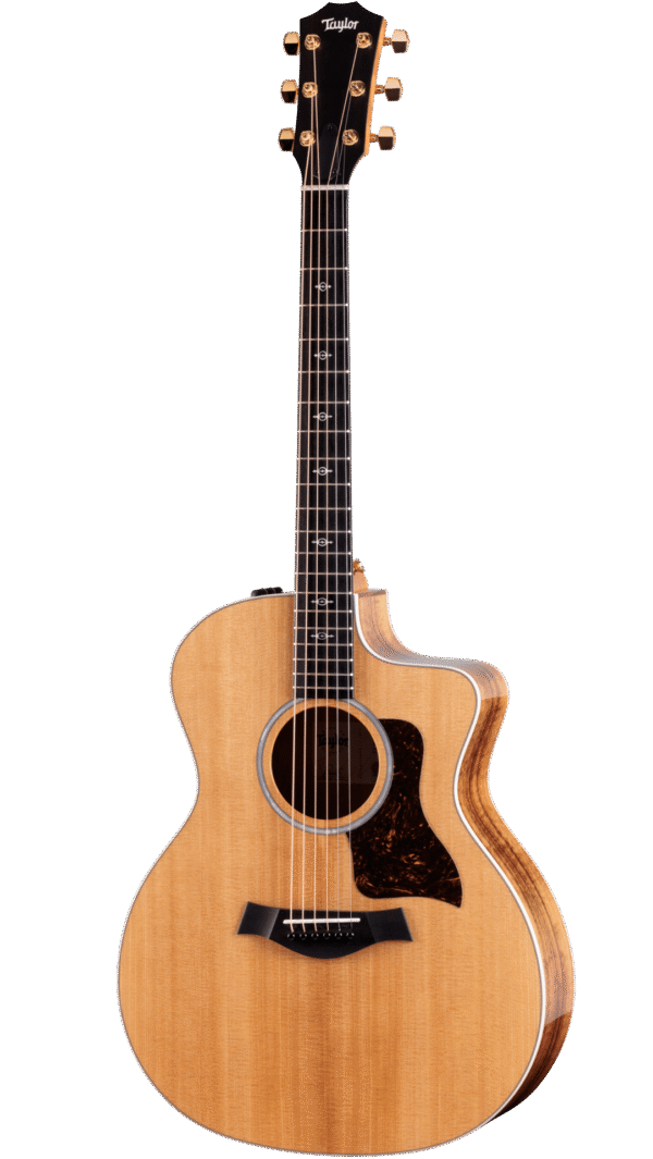 Taylor 214ce-K DLX Electroacústica