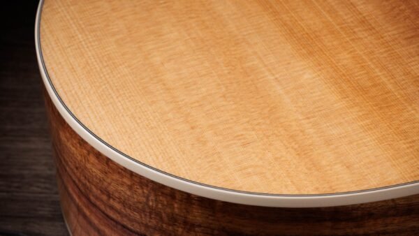 Taylor 214ce-K DLX Electroacústica