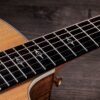 Taylor 214ce-K DLX Electroacústica