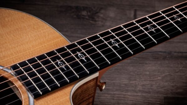 Taylor 214ce-K DLX Electroacústica
