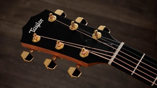 Taylor 214ce-K DLX Electroacústica