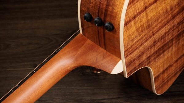 Taylor 214ce-K DLX Electroacústica