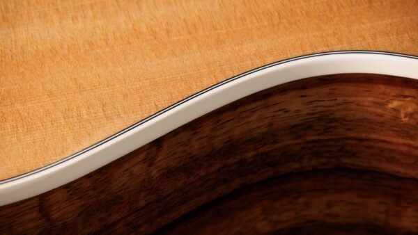 Taylor 214ce-K DLX Electroacústica