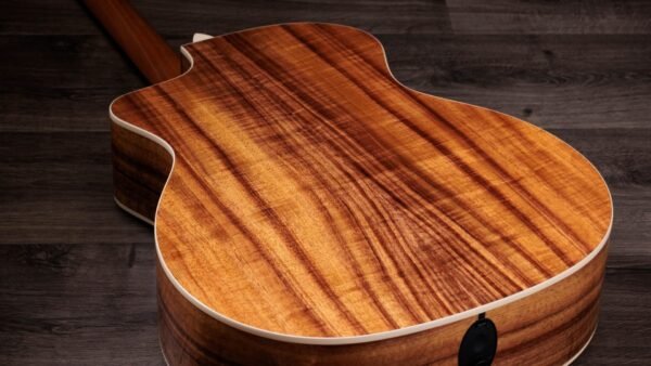 Taylor 214ce-K DLX Electroacústica