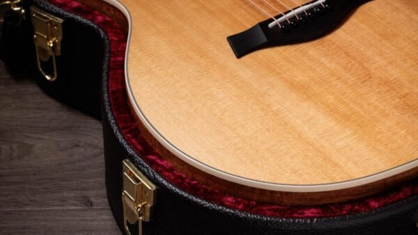 Taylor 214ce-K DLX Electroacústica
