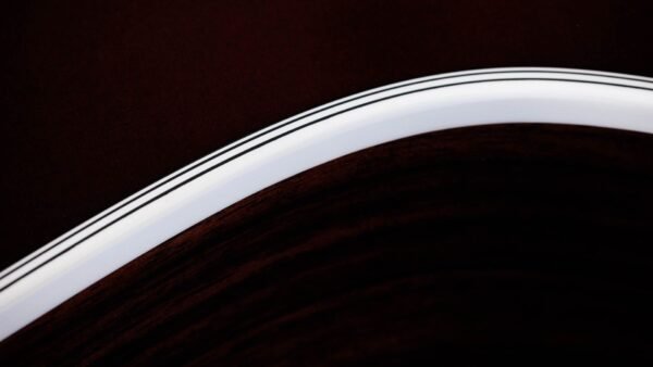 TAYLOR 454CE-R | Guitarra de 12 cuerdas Grand Auditorium