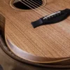 TAYLOR Academy22e