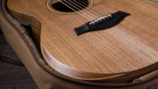TAYLOR Academy22e