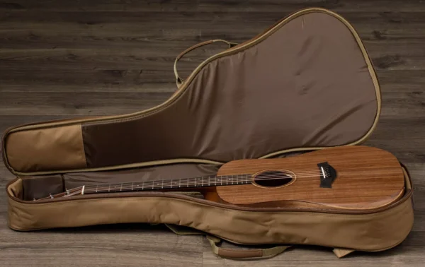 TAYLOR Academy22e