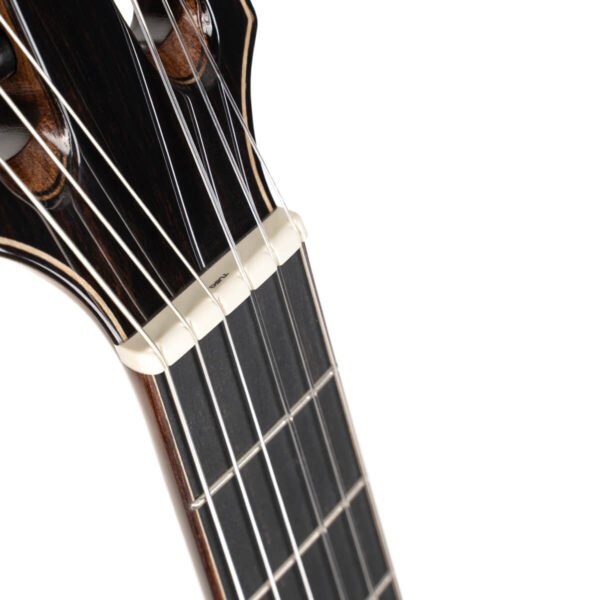 CORT Sunset Nylectric II