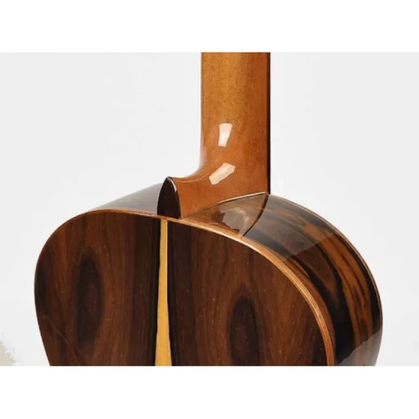 3z-sp_1-650x650w Esteve 3Z-SP | Guitarra clásica con tapa de abeto macizo