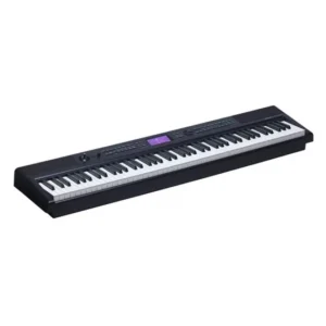 MEDELI  SP-A500
