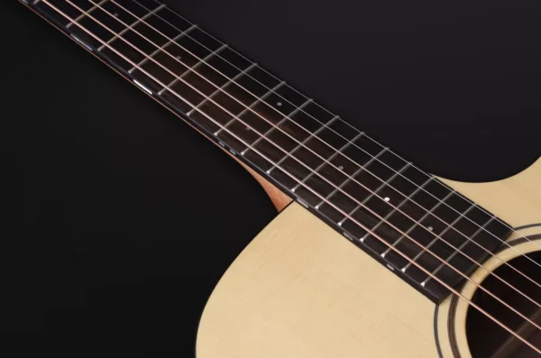 Furch Blue Performance Dc-EW Guitarra Electroacústica Dreadnought