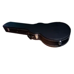 1079 (11) Hardcase Guitarra Les Paul LPC-01 HEBIKUO