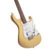 cort-g-series-g250-cgm-electric-guitar-gal-3 CORT G250 Metallic gold