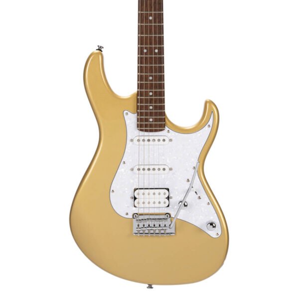 cort-g-series-g250-cgm-electric-guitar-gal-9 CORT G250 Metallic gold
