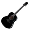 TAYLOR 217 E-BLK-PLUS Electroacústica