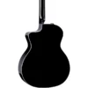 Taylor 214CE-BLK-PLUS