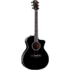 Taylor 214CE-BLK-PLUS