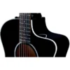 Taylor 214CE-BLK-PLUS