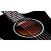 Taylor 214CE-BLK-PLUS