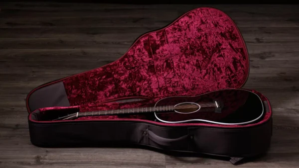 TAYLOR 217 E-BLK-PLUS Electroacústica