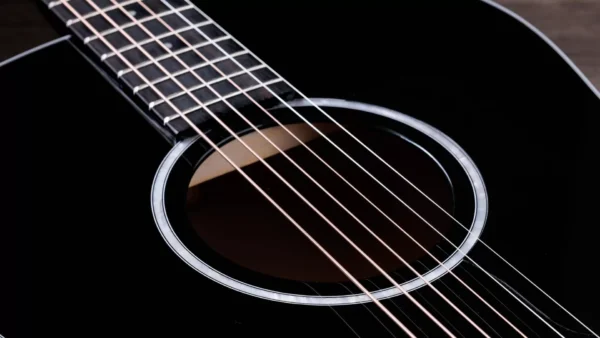 TAYLOR 217 E-BLK-PLUS Electroacústica
