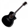 Taylor 214CE-BLK-PLUS