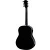 TAYLOR 217 E-BLK-PLUS Electroacústica