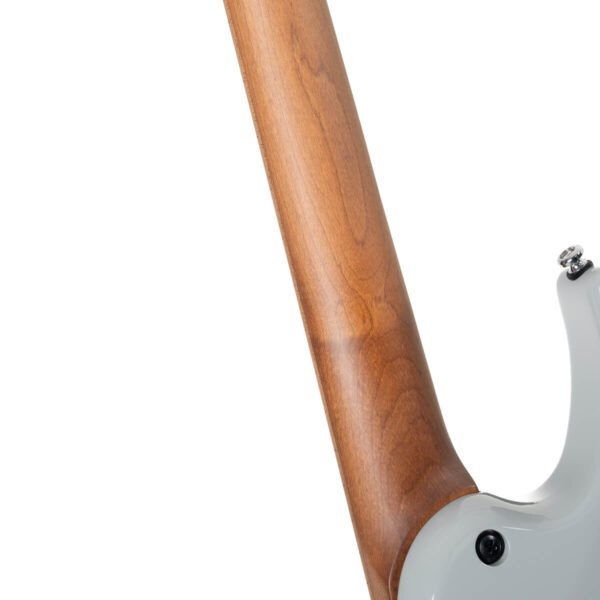 Cort G290-MODERN-DRS