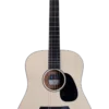 Furch Violet D EM Guitarra Electroacústica con LR BAGSS