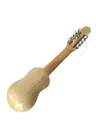 CARLOS QUISPE TORREZ CHARANGO PROFESIONAL NARANJILLO