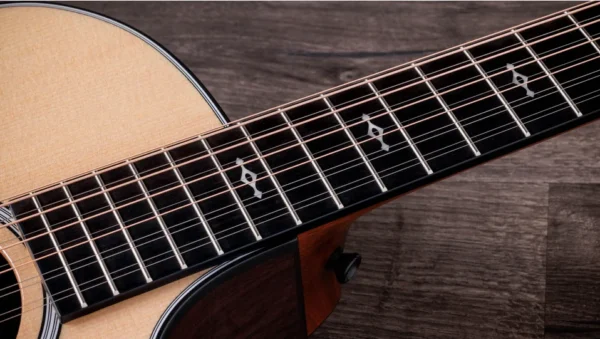 Taylor-454ce-2026-Spec-1210085091-gallery-08-2025.jpg taylor 454ce