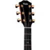 Taylor Sunset Blvd 214ce DLX SEB