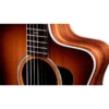 Taylor Sunset Blvd 214ce DLX SEB