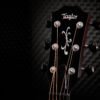 TAYLOR BUILIERS GA C14CE