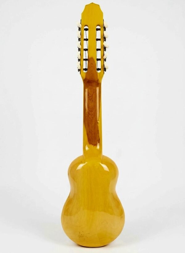 Charango Carlos Quispes Torres Profesional