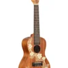 2400 (2) Ukelele Concierto Ka-Gardenia-C Kala